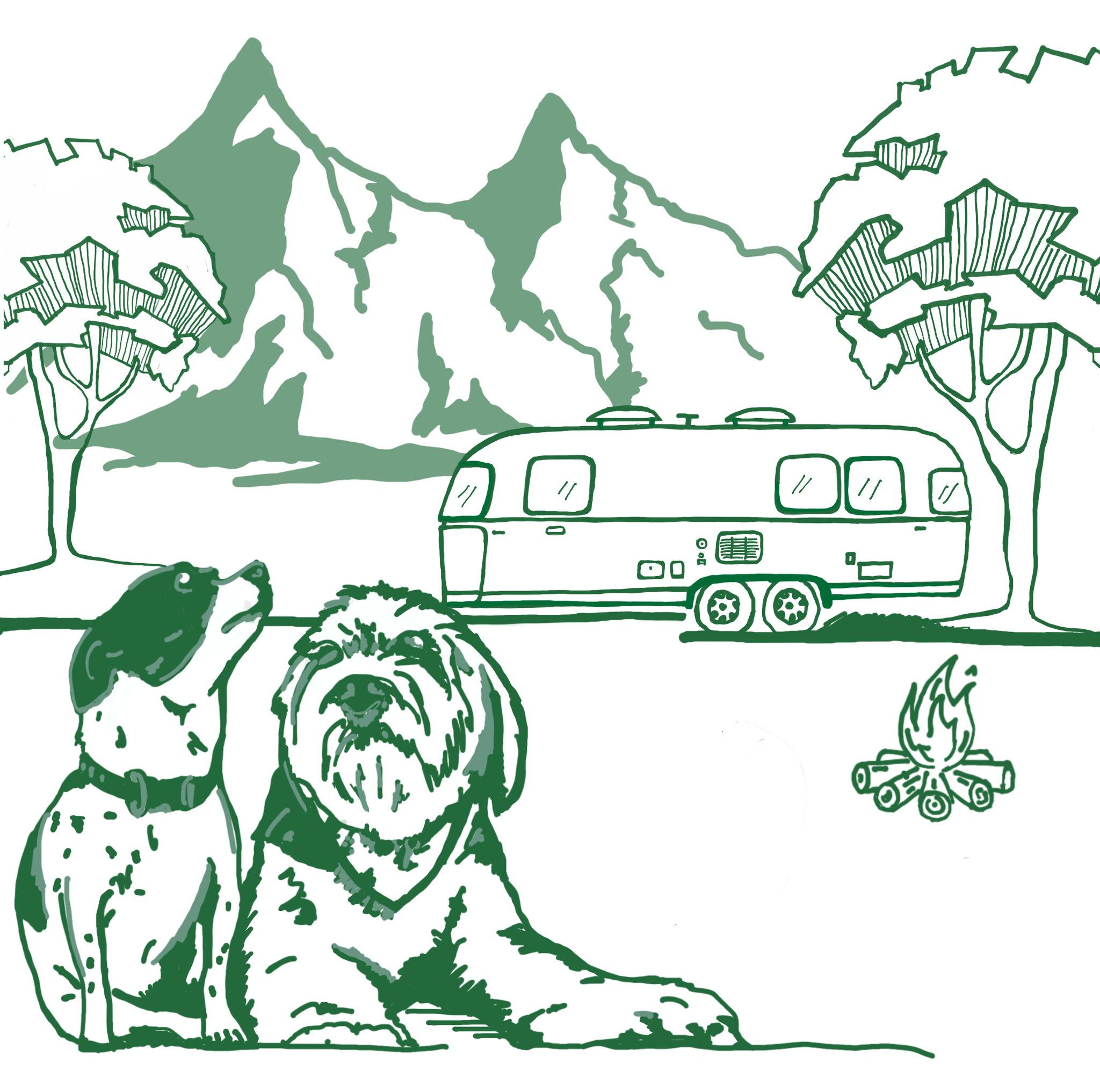 The Wedding Website of Bruce Lithimane and Jane Huang