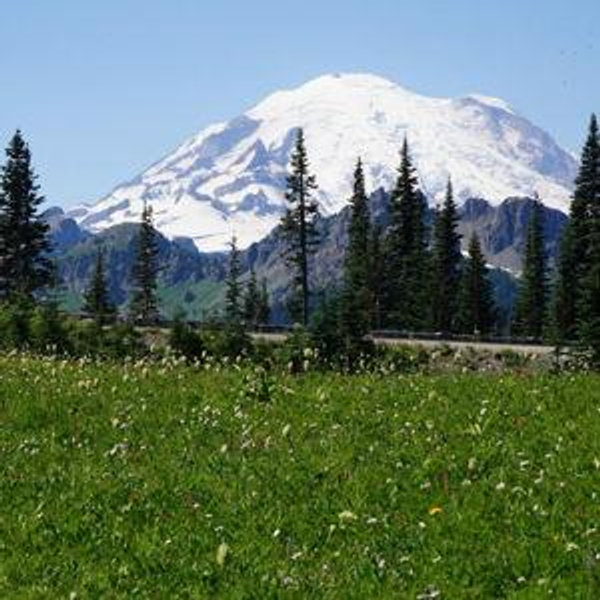 Washington National Parks Tour
