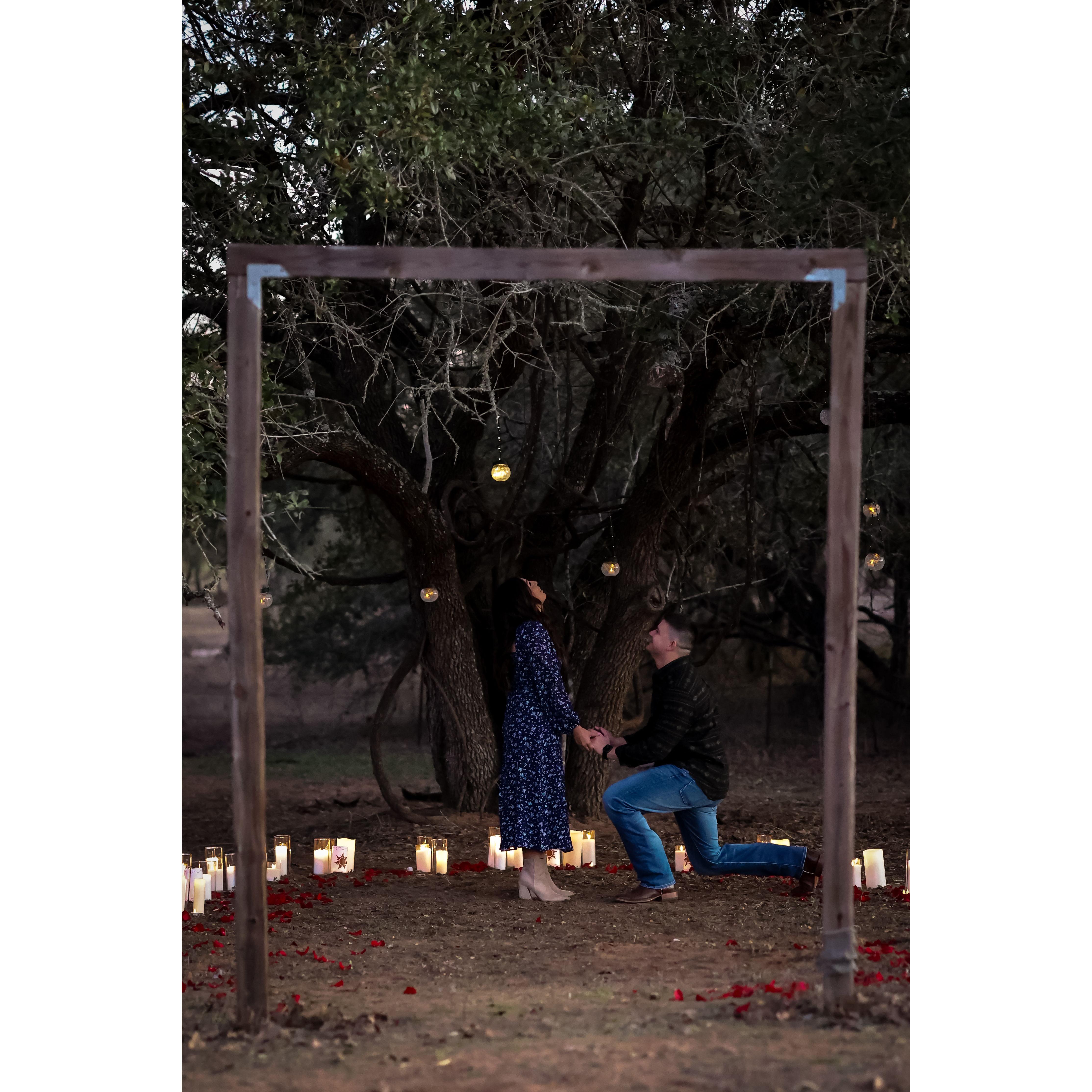 January 31, 2025 "Proposal"