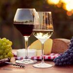 Wine Tasting