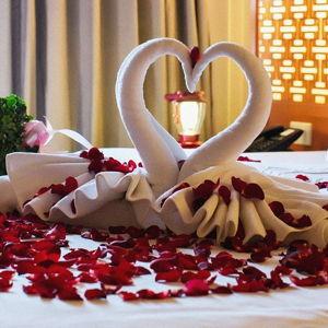 Honeymoon Fund