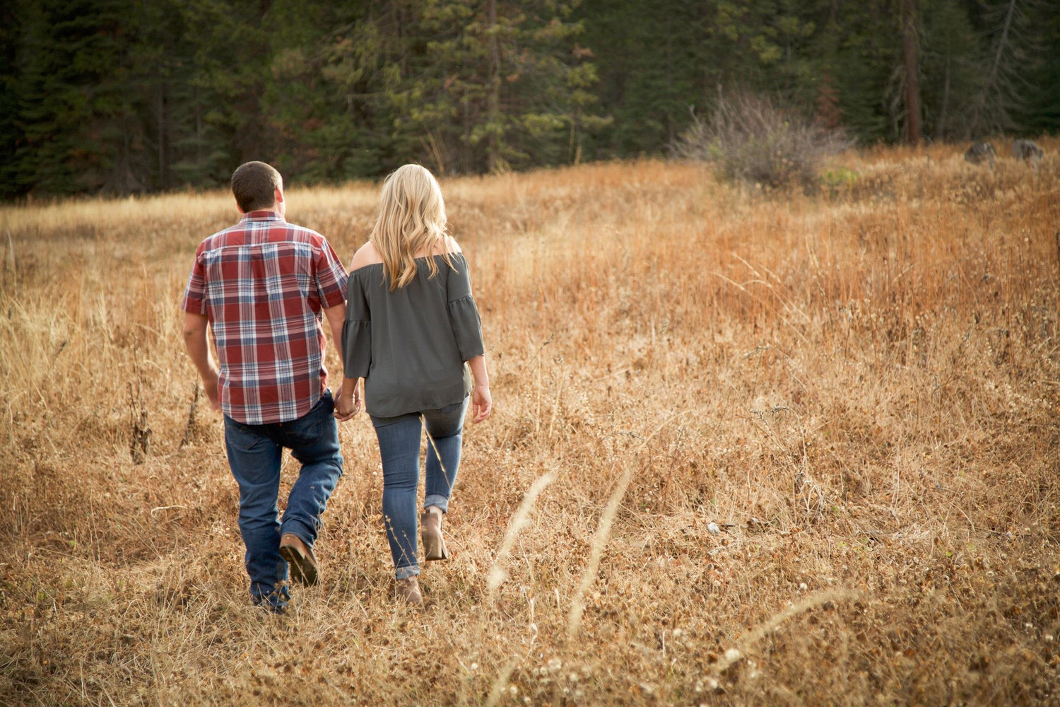 The Wedding Website of Dana Gilman and Jan Mitchell