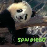 San Diego Zoo Safari Park