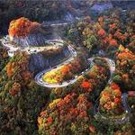 The Tail of the Dragon