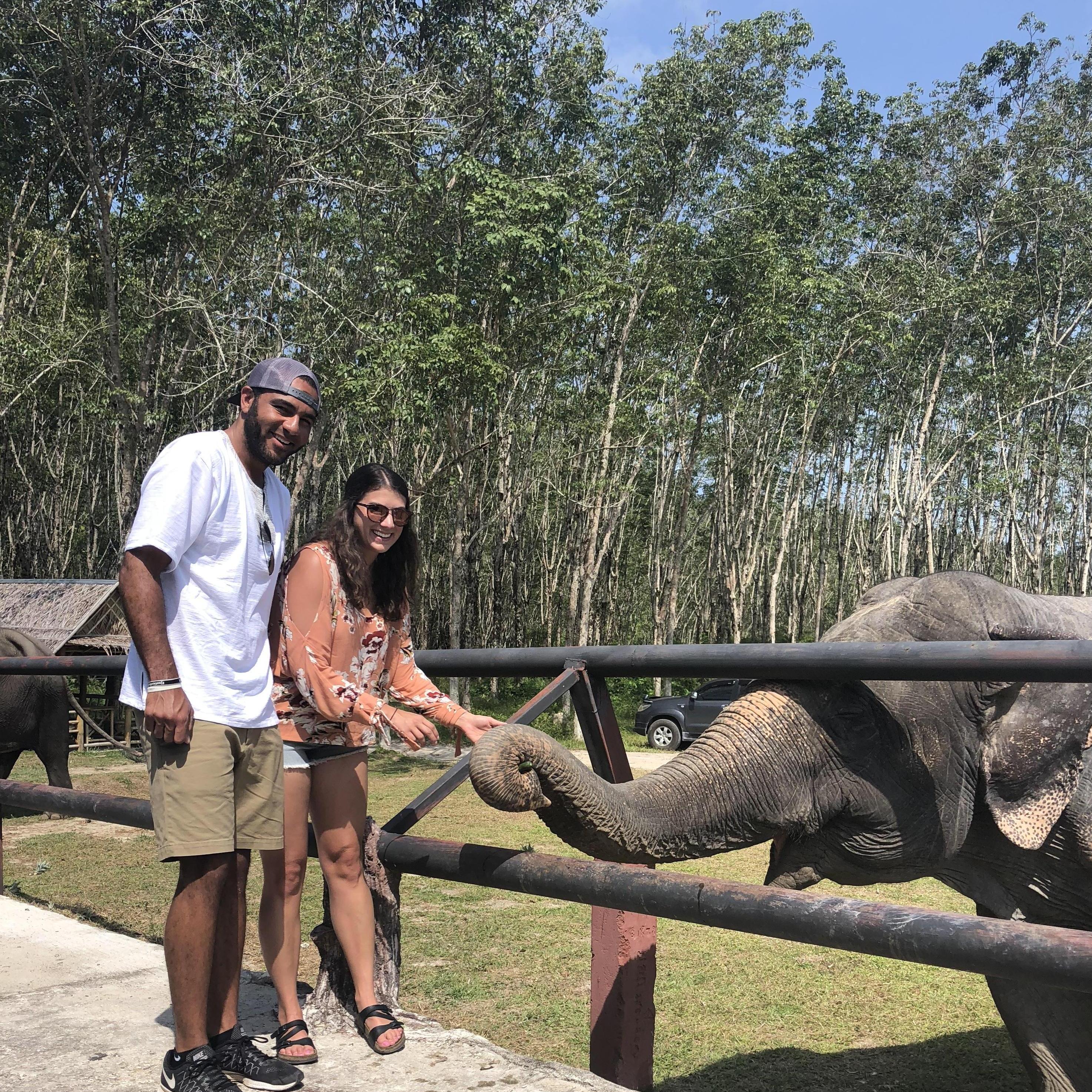 Phuket Elephant Park