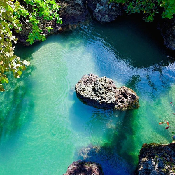 Cahuita National Park Tickets