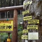 The Mystery Spot