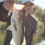 Guided Bass Fishing