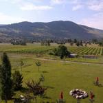 Ten Spoon Vineyard and Winery