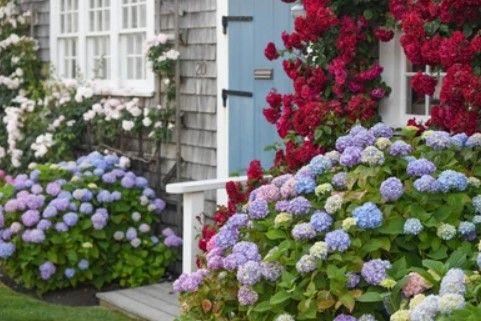 The Wedding Website of Crystal Keaveny and James Coit