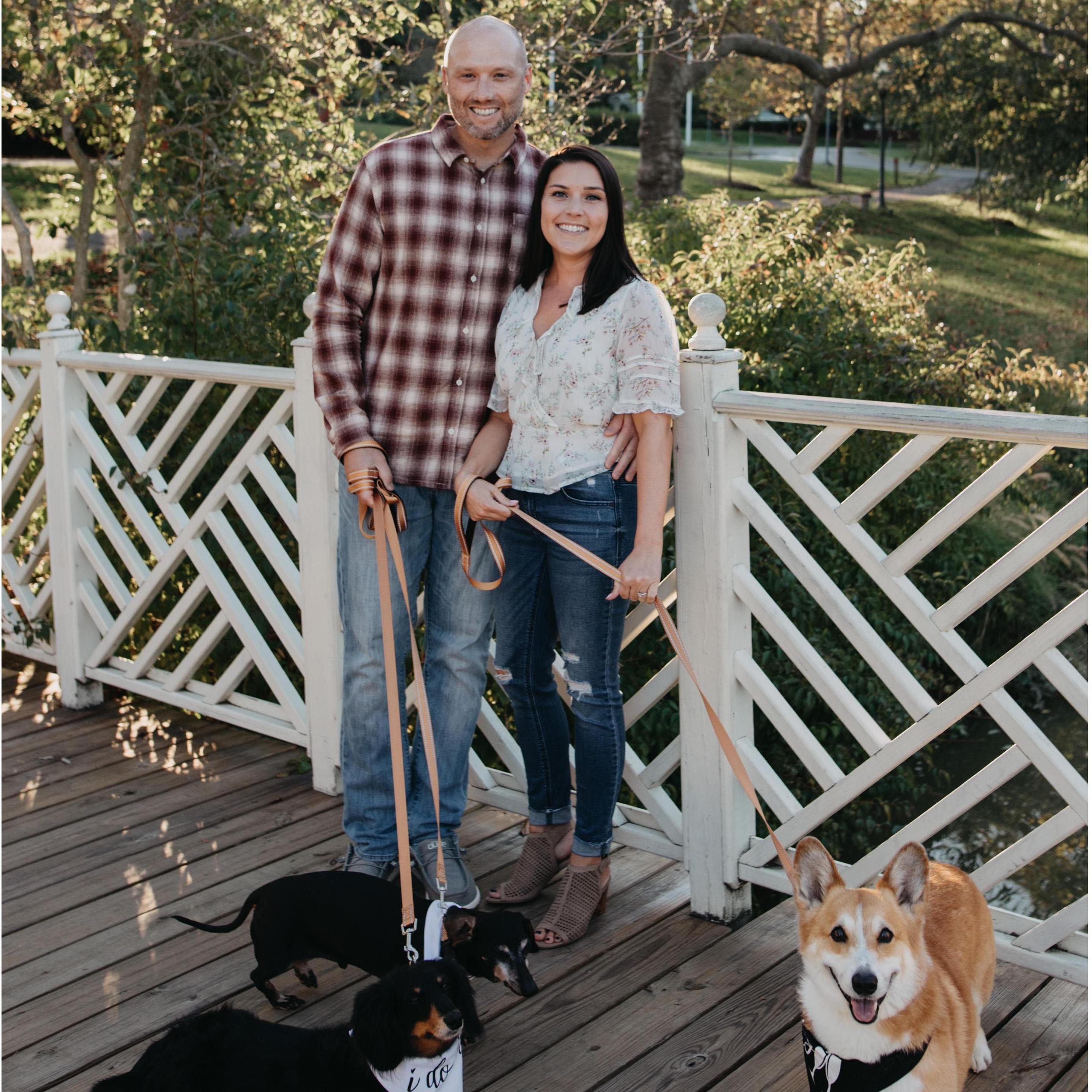 And finally, some engagement photos by our amazing photographer, Jessi, at one of our favorite places to take the dogs, Quiet Waters Park.