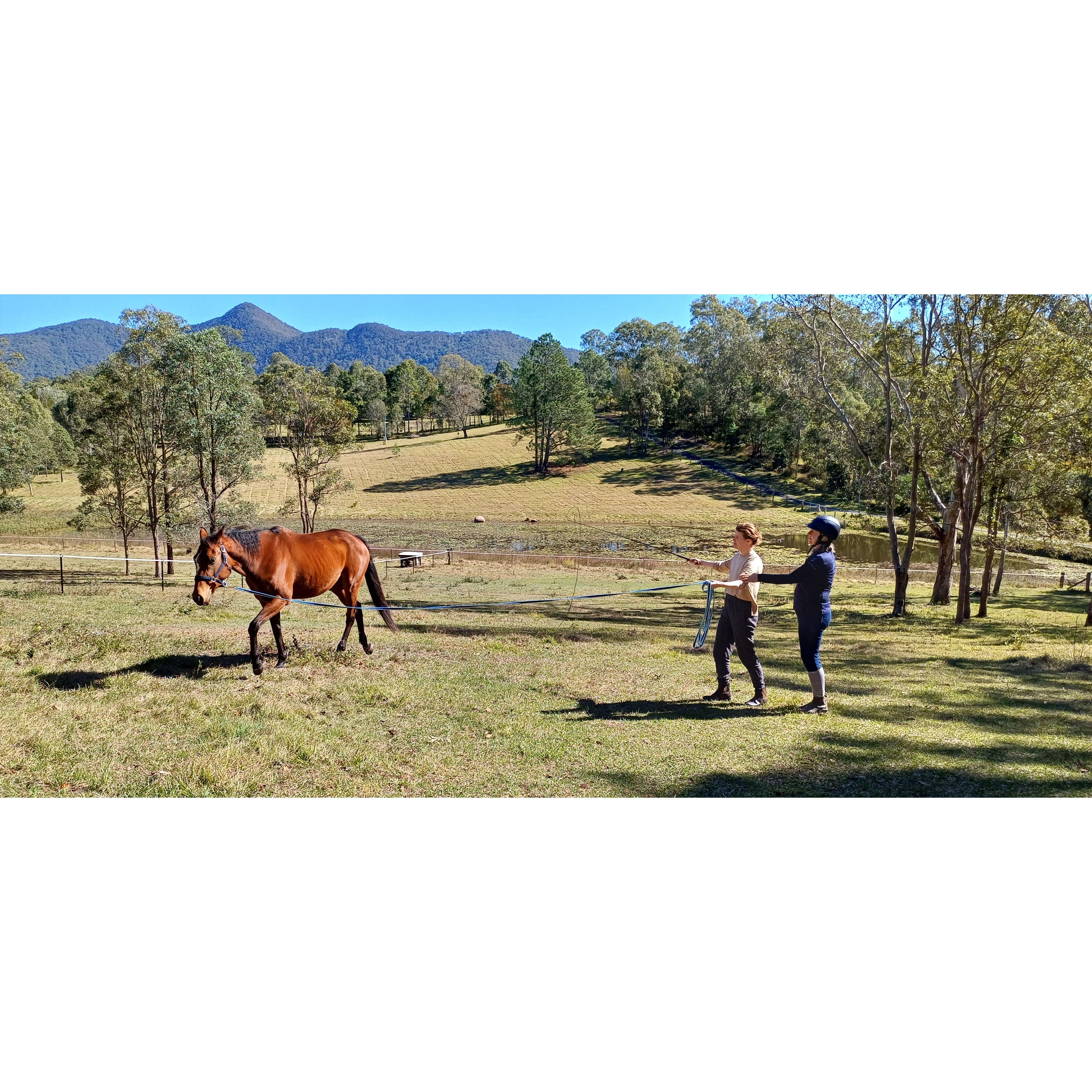 Leading Ellie the horse with Aunty Lyn
