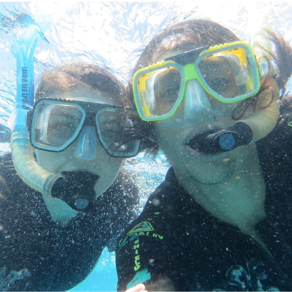 snorkeling the Great Barrier Reef, Cairns, QLD, AUS