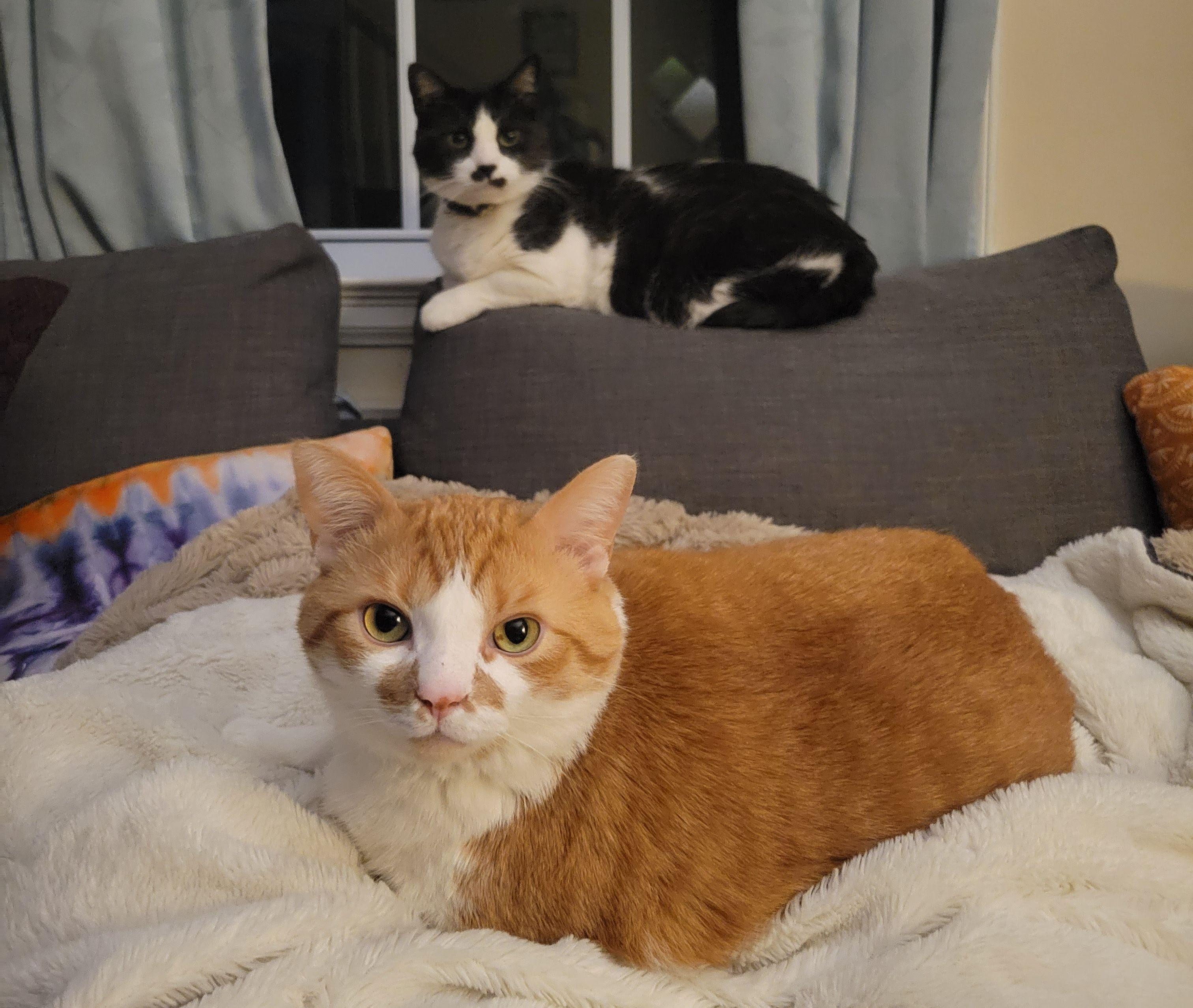 The Wedding Website of Savannah Kaszas and Todd Johnson