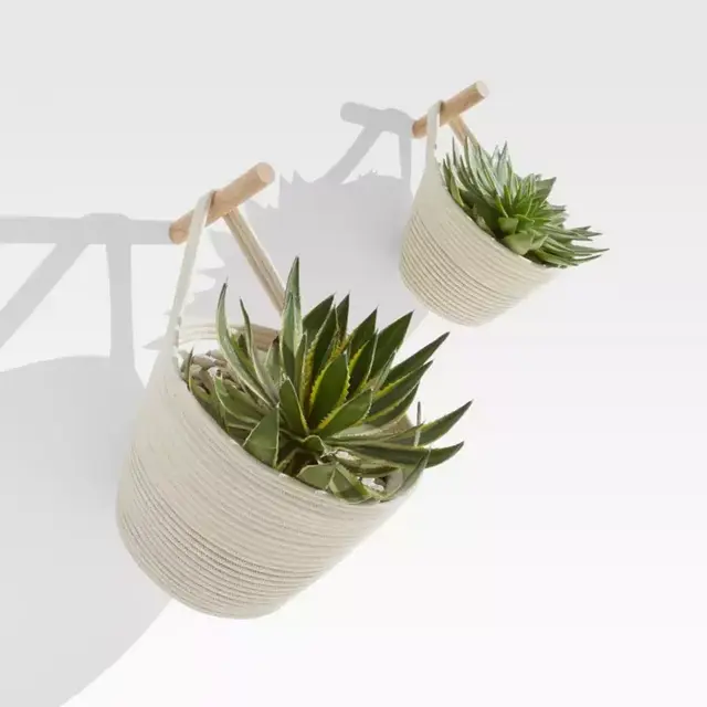Claude Hanging Wall Planters/Storage Baskets