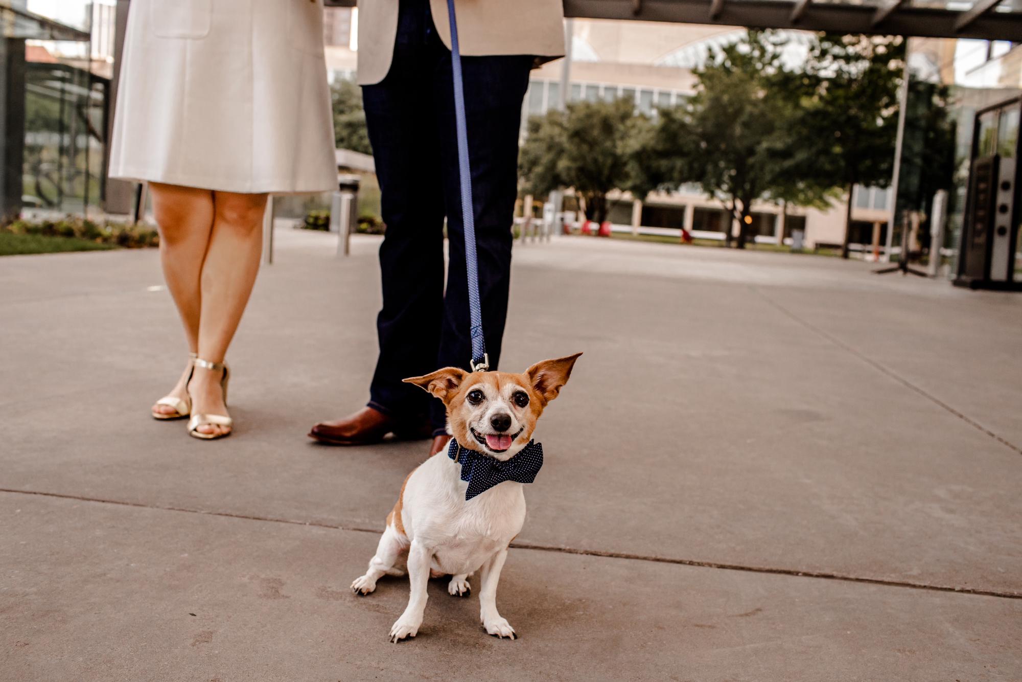 It all started when my mom met my dad and they rescued me.