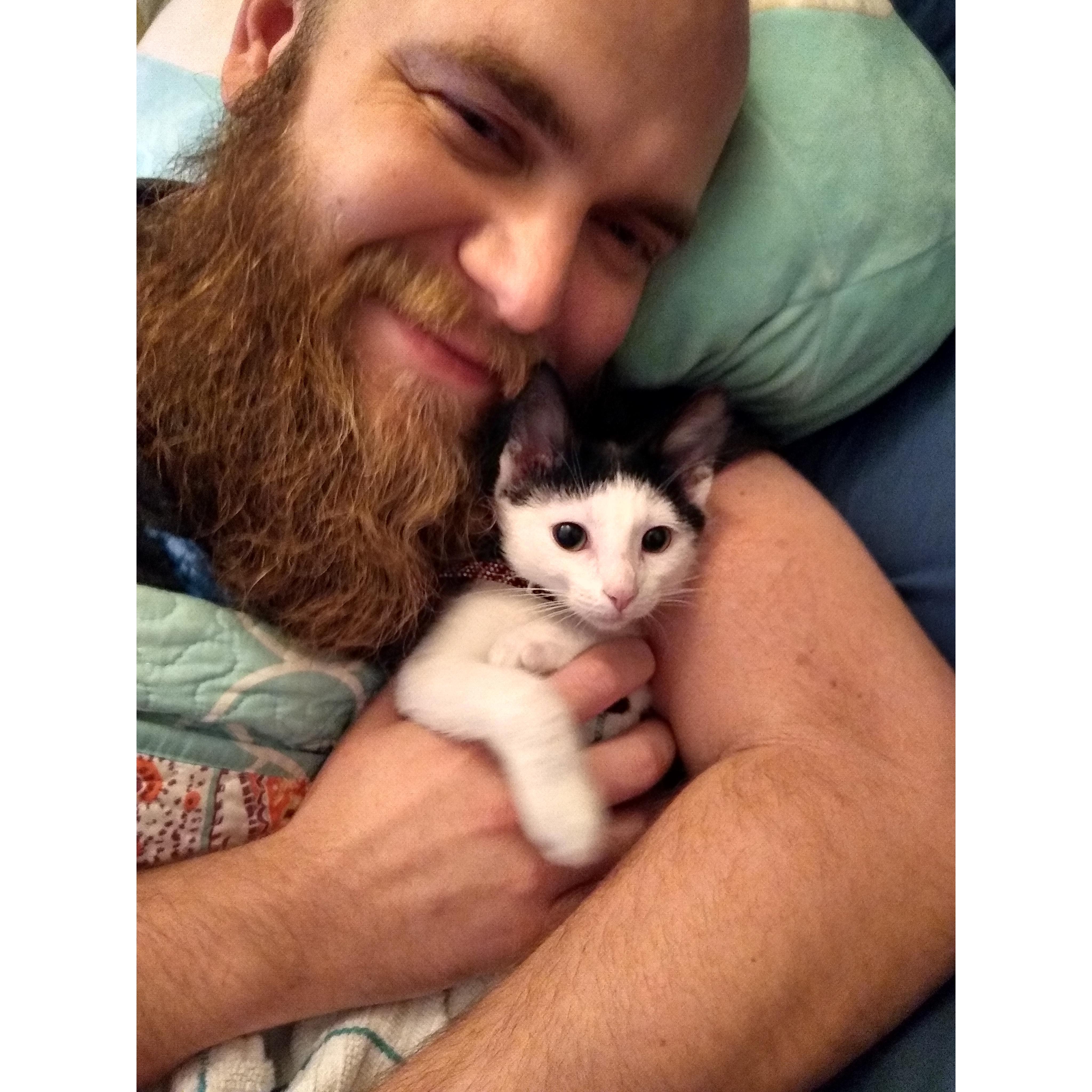 We got a kitten! (October 2019)