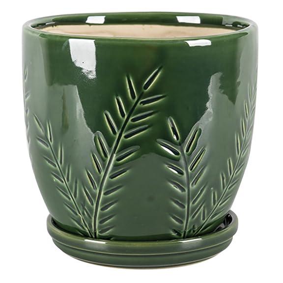 Aspen & Fig Green 8 Inch Indoor Ceramic Plant Pot with an Attached Saucer and Drainage Hole for House Plants, Herbs, Flowers, Succulent Plants, Snake Plants, Gifts for Mom, Standard Pot