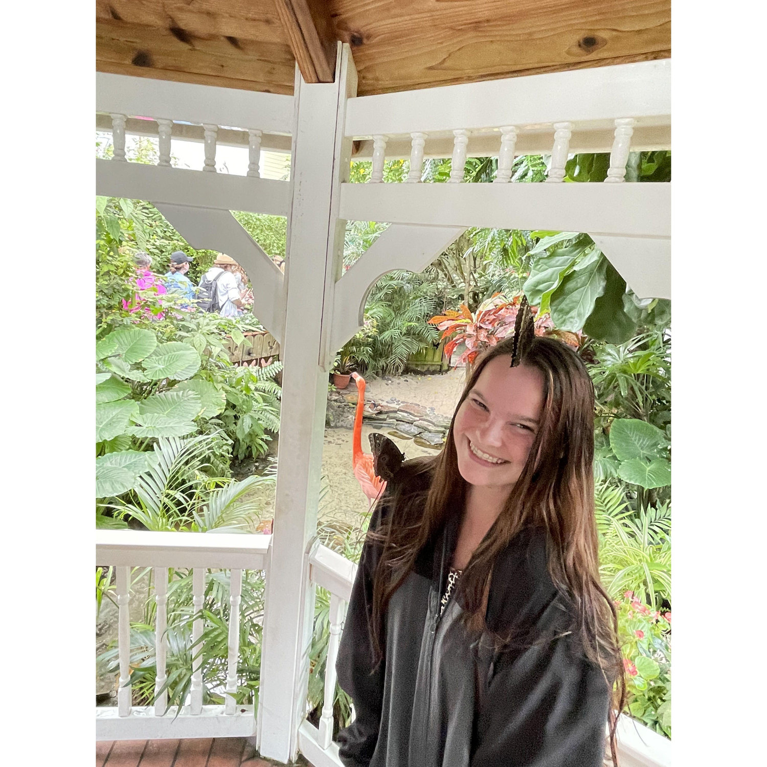 Butterflies!!