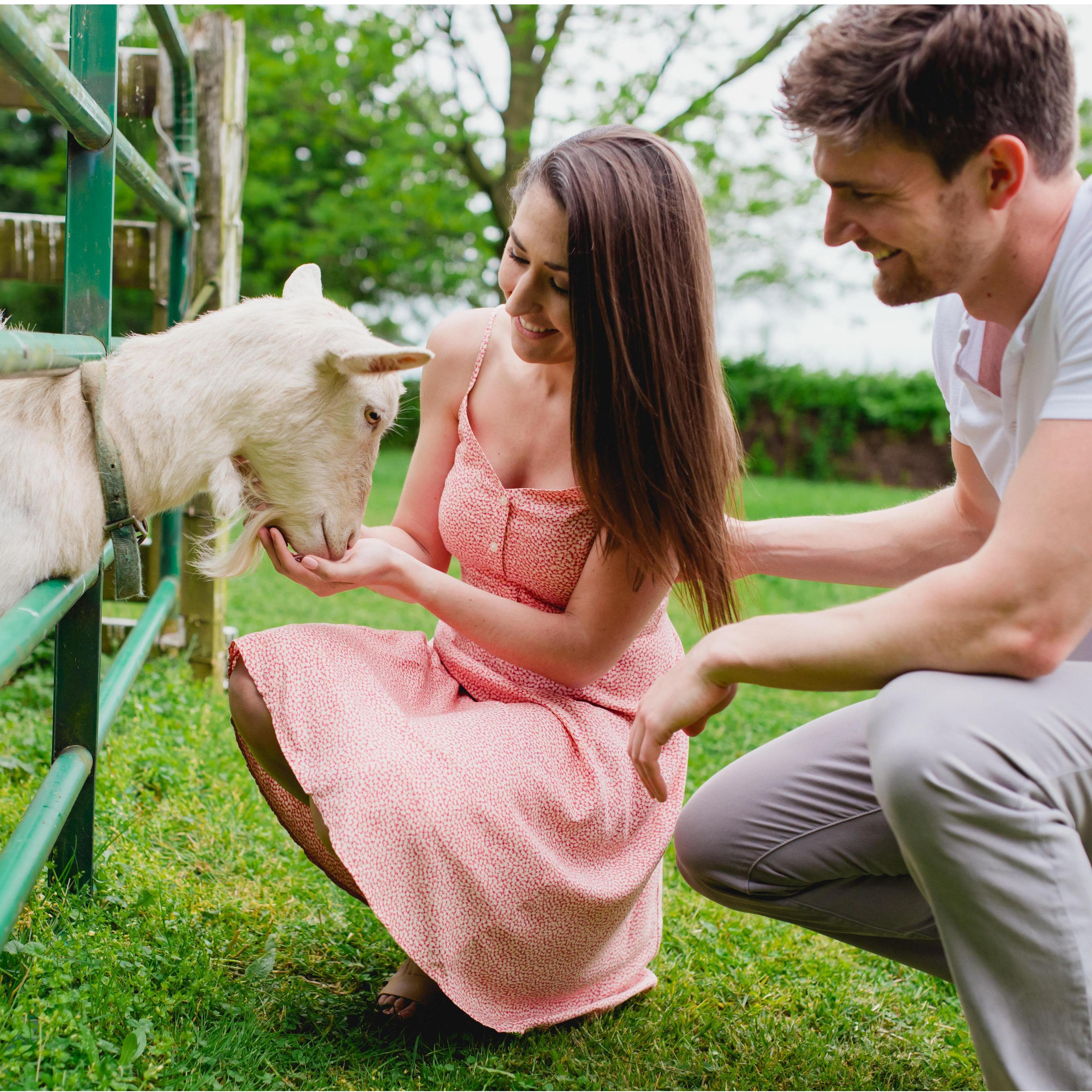 "When all else fails, talk about goats" -Mom's advice paid off