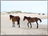 Currituck Beach (Corolla)