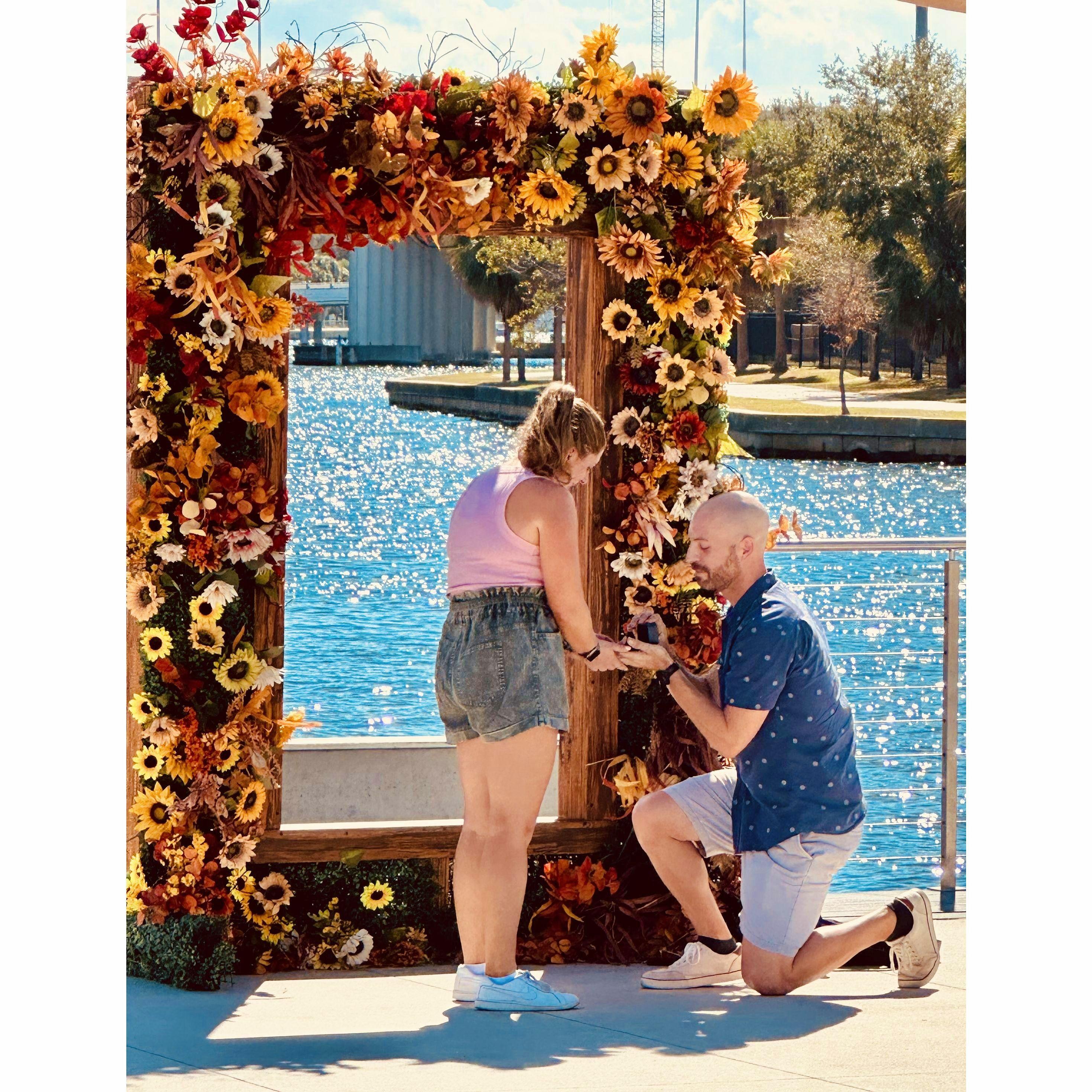 THE PROPOSAL!