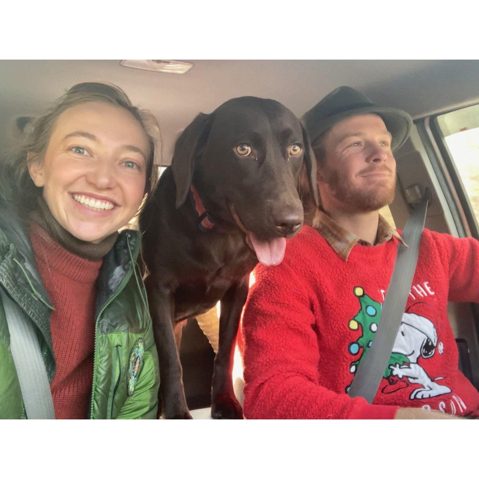 going to cut down our Christmas tree