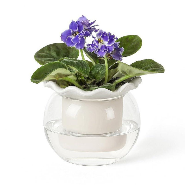 Fayoula 6 Inch African Violet Pots Maintenance, Glass Self-Watering Planter for Indoor Plants - Ideal Flower Pot for Thriving Indoor Gardens, Pots Only (Version 2)