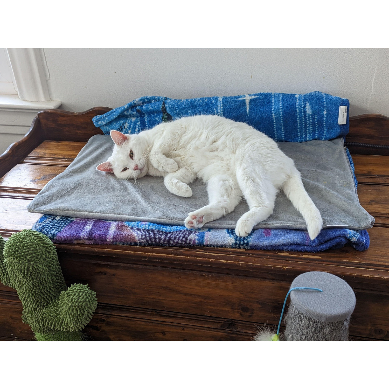 Duchess (R.I.P. to the Queen) being beautiful as always