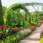 Cheekwood Botanical Gardens & Estate