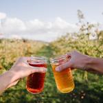 Finnriver Farm and Cidery