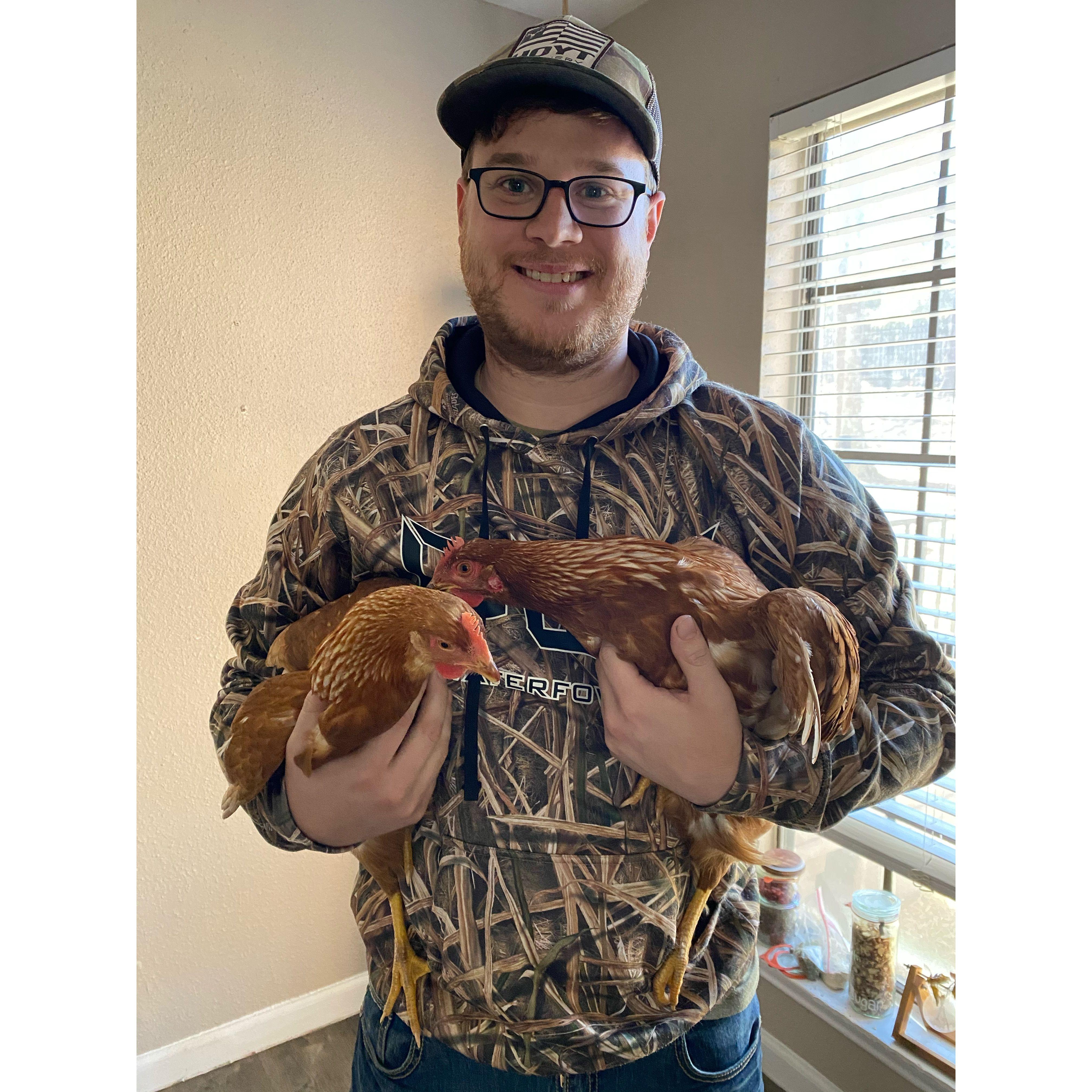 The first two chickens we ever bought, in our Austin apratment