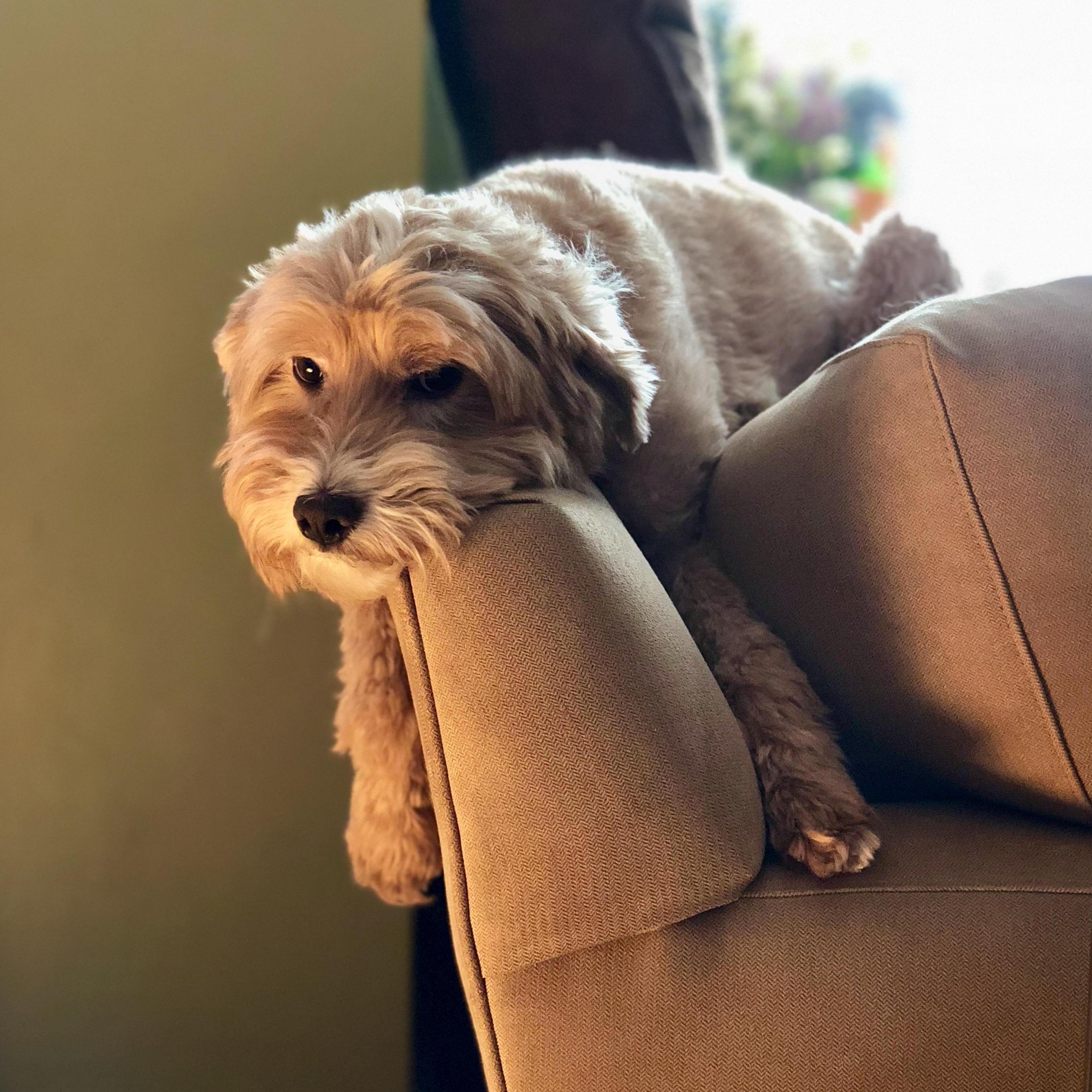 Calvin wants to know if the wedding planning is done, yet!