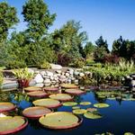Denver Botanic Gardens