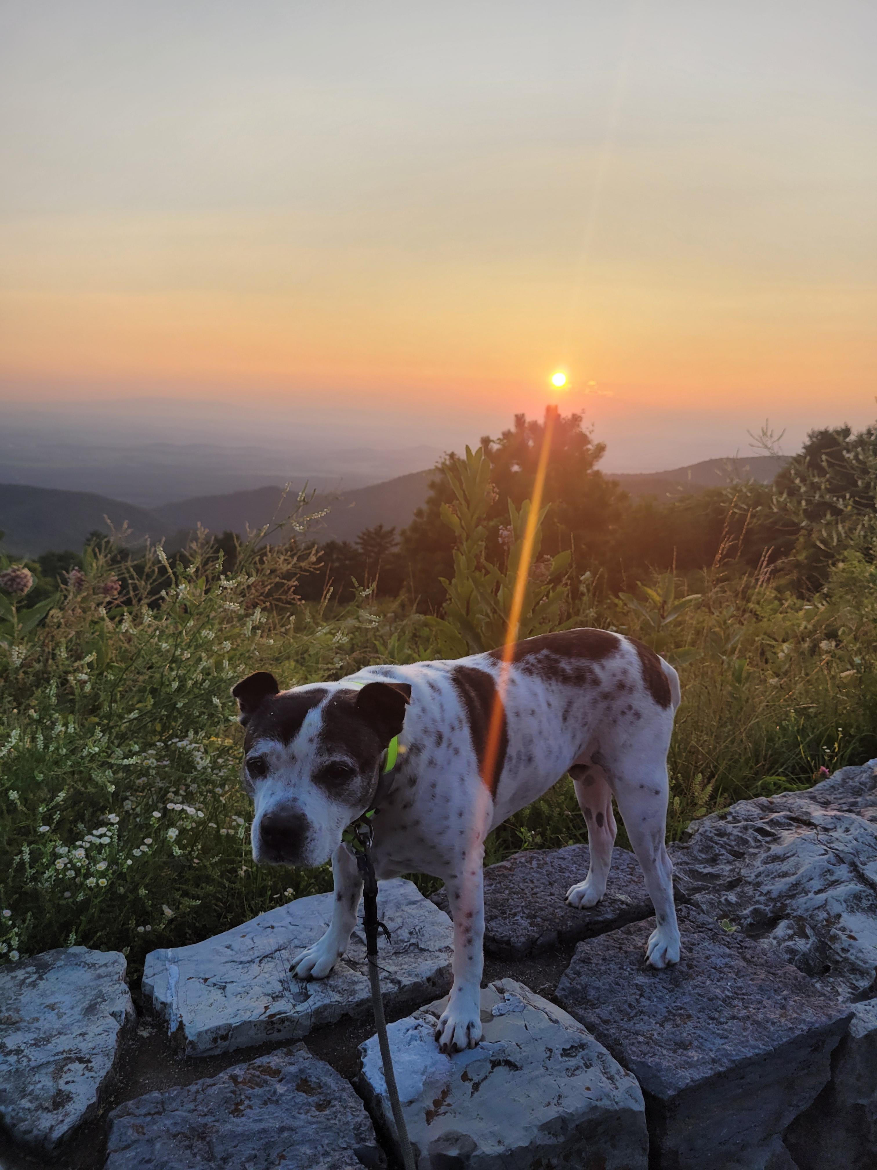 The Wedding Website of Jessica Segovia and Shane Myers