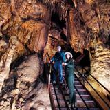 Mammoth Cave National Park