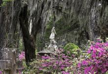 Bonaventure Cemetery