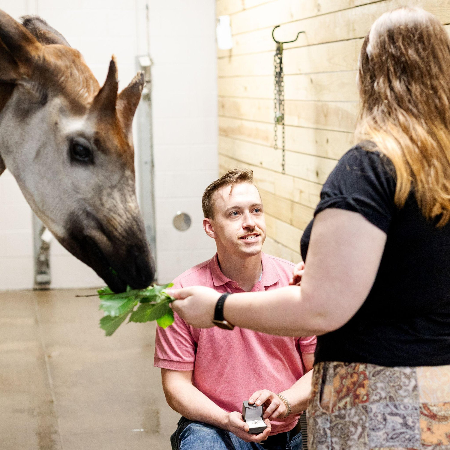 The proposal :)