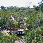 Daggerwing Nature Center