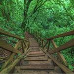 Antigua Mountain Trail
