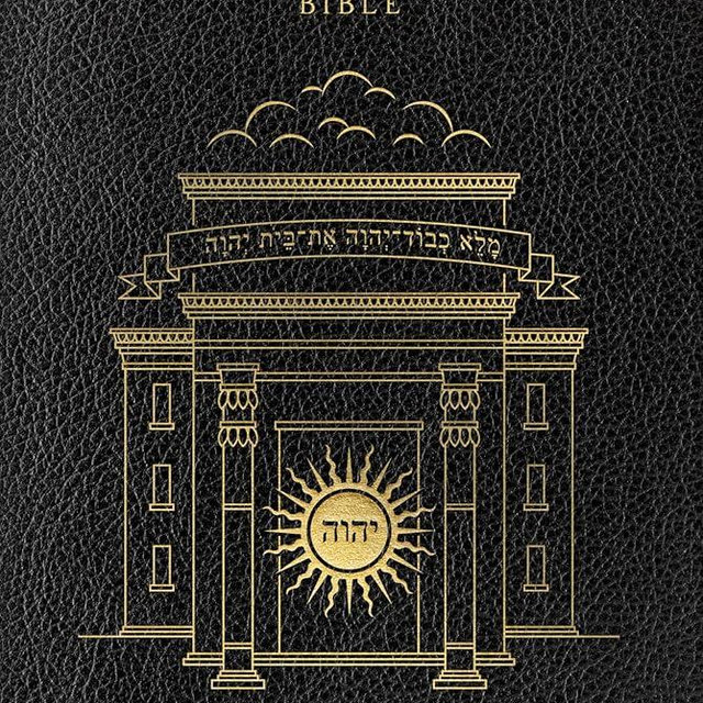The Word on Fire Bible (Volume IV): The Promised Land (Leather) (Word on Fire Bible Series)