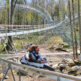 Wilderness Apline Coaster