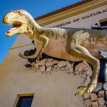 Arizona Museum of Natural History