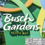 Busch Gardens Tampa Bay