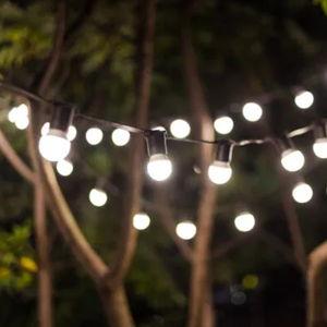 Backyard/Patio Fund