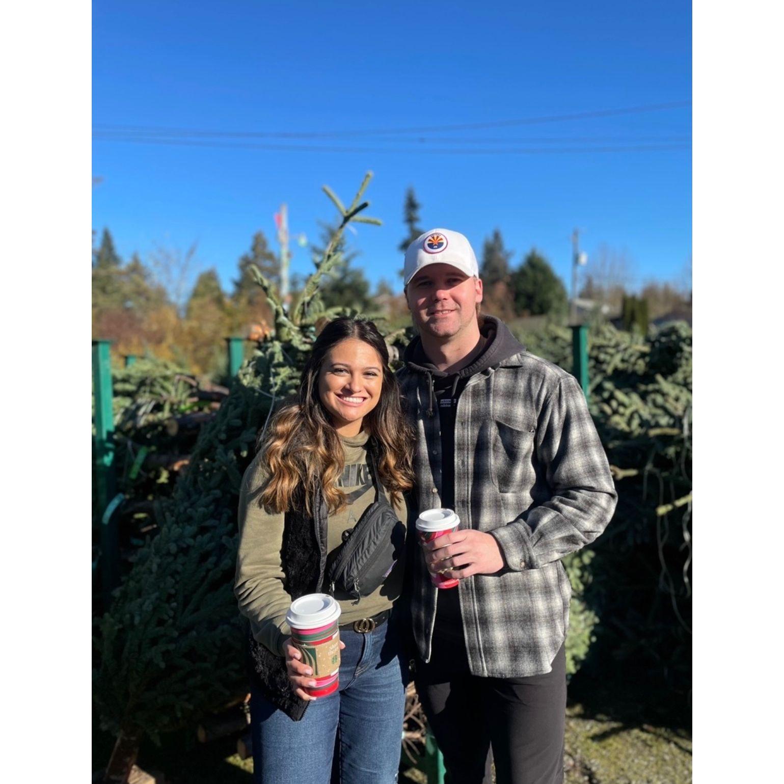 Chopping a Christmas tree