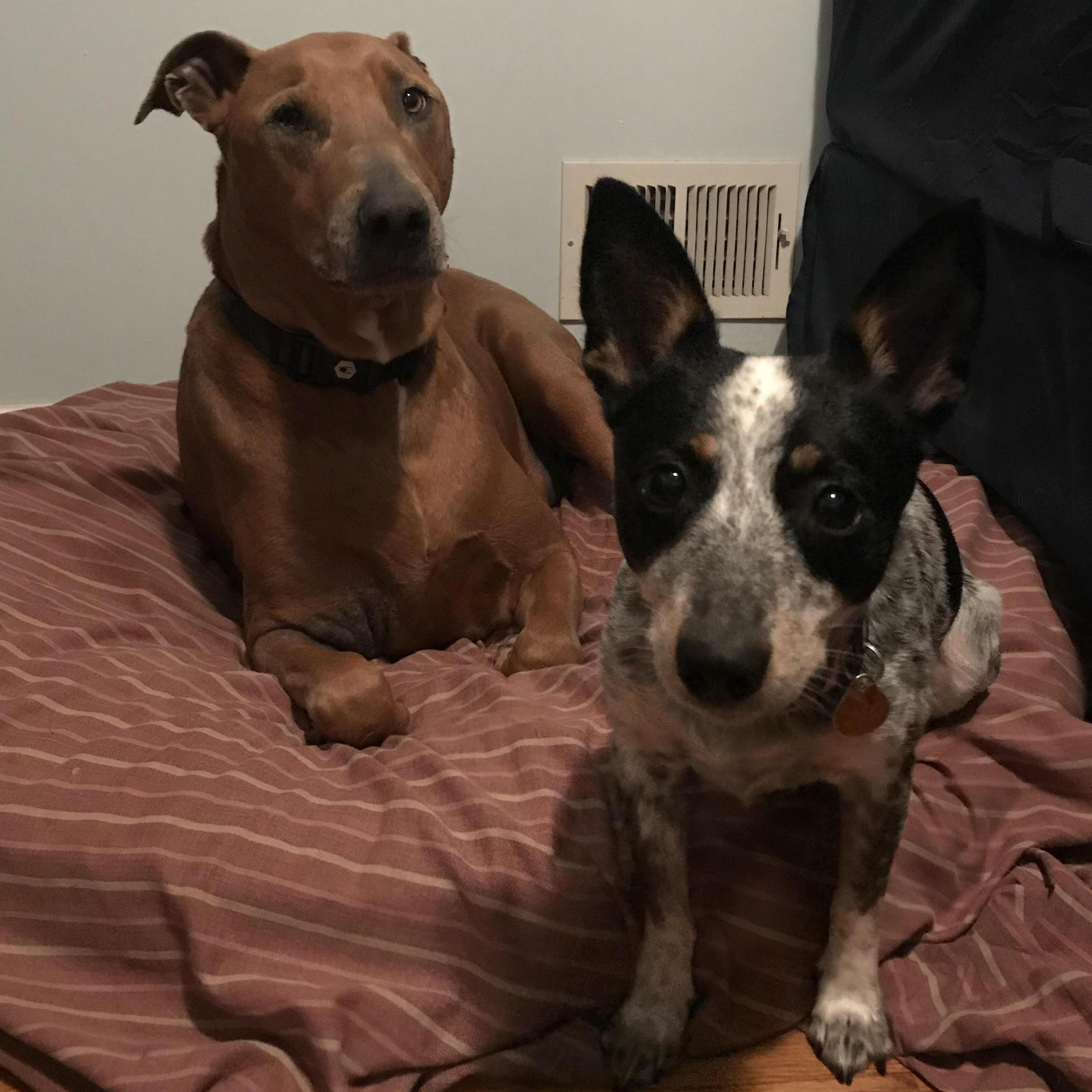 Tucker and June <3