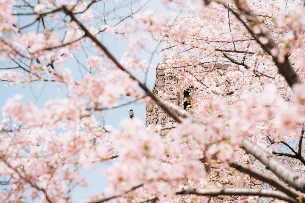 The Wedding Website of Andrew Marshall and Kelly Sharer