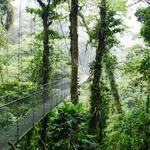 Monteverde