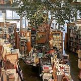 Skylight Books